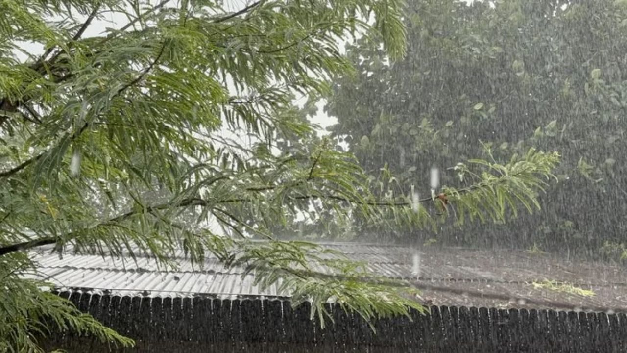 लखीमपुर से हमीरपुर तक मूसलाधार बारिश का कहर, जानिए आपके शहर में आज कैसा रहेगा मौसम का मिजाज