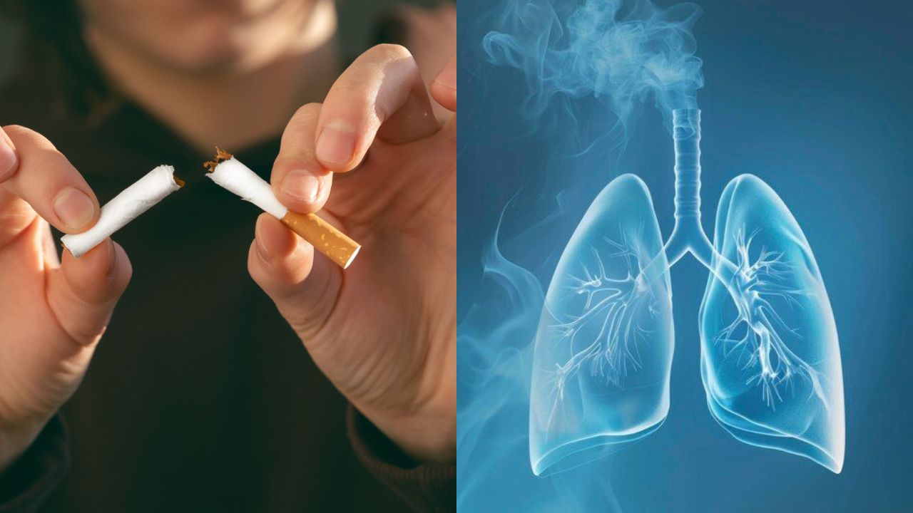 सिगरेट का एक कश और फेफड़ों में घुसे 7000 टॉक्सिन्स: World Lung Day पर जानें हेल्दी और स्मोकर्स लंग्स का सच