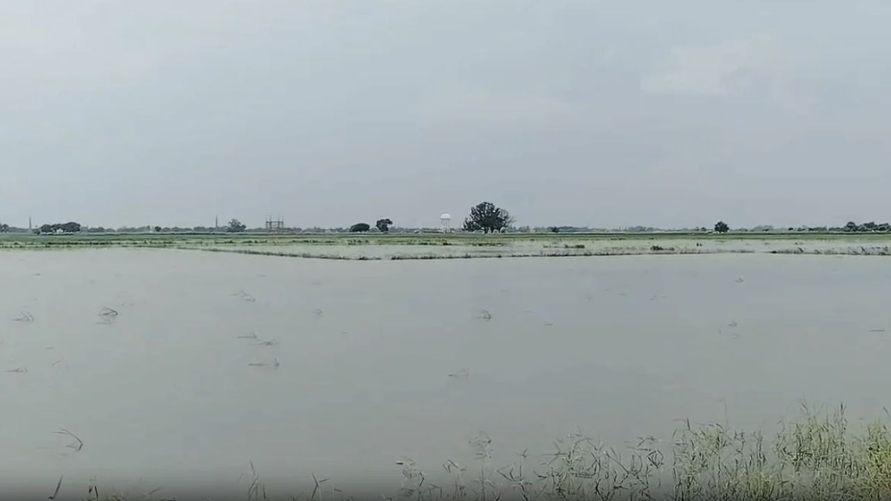 बाढ़ से फसल बर्बाद होने पर किसानों का फूटा गुस्सा, मुआवजे की मांग को लेकर कलेक्ट्रेट पहुंचे ग्रामीण