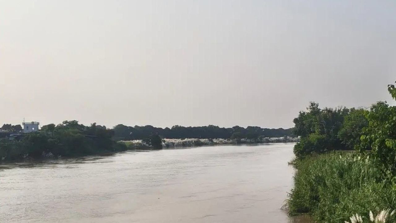 देवरिया में गोर्रा-राप्ती का बढ़ा जलस्तर, खेतों में घुसा पानी; खरीफ की फसल डूबने से किसानों की बढ़ी चिंता