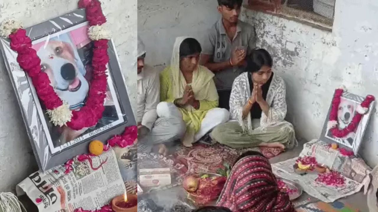 मेरठ में कुत्ते की तेरहवीं, हवन से लेकर प्रसाद तक इंसानों जैसी विदाई, बेटी के लिए डॉगी भाई था टफ्फू