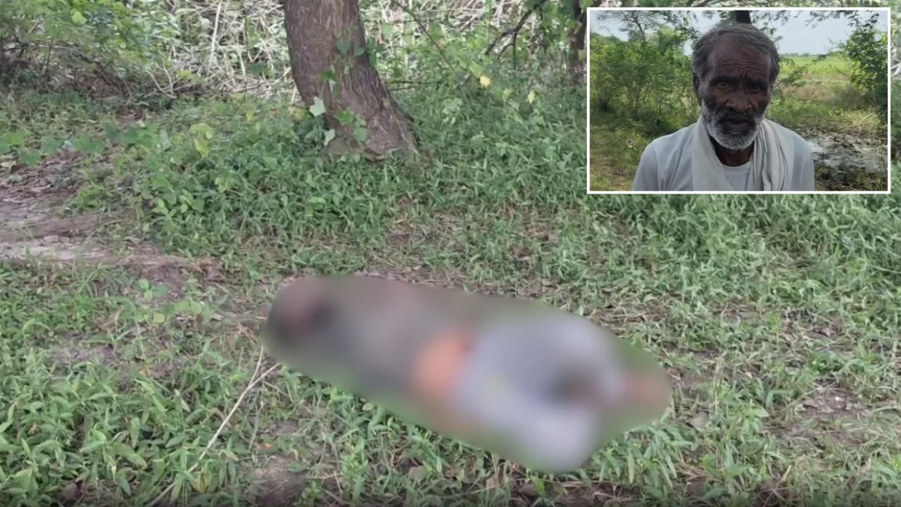 Hamirpur: सड़क किनारे मिला युवक का शव, पत्नी से विवाद और दहेज केस के बीच मौत ने खड़े किए कई सवाल
