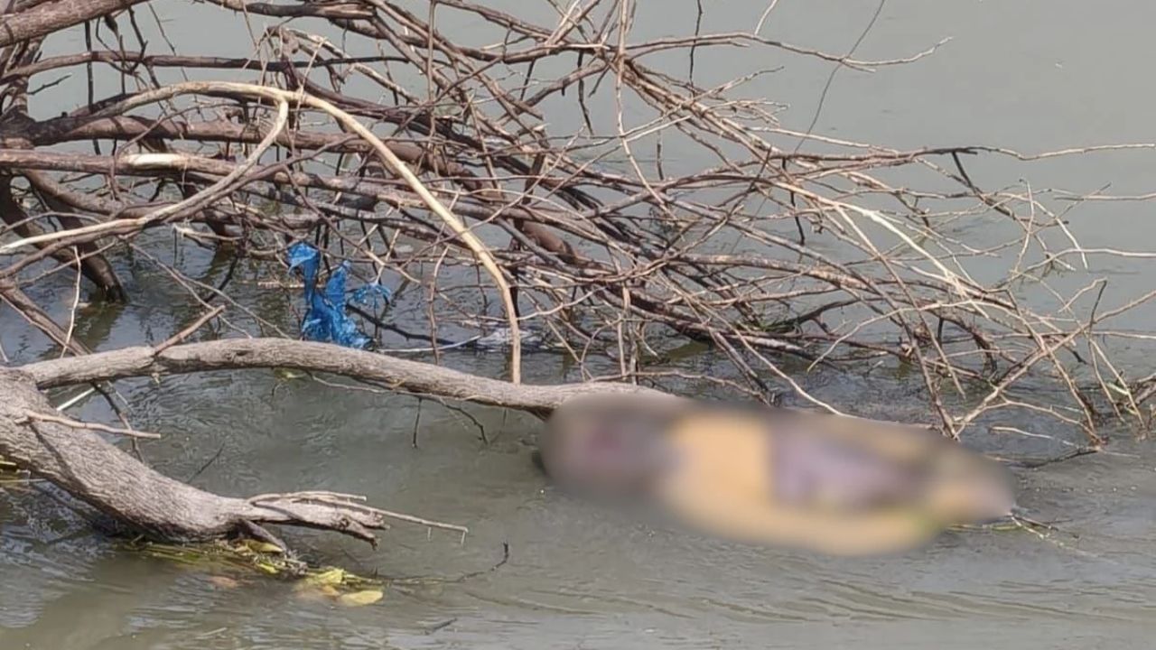 बेटे को बचाने नाले में कूदा पिता, फिर खुद नहीं लौट सका! 22 घंटे बाद मिला रामकिशोर का शव