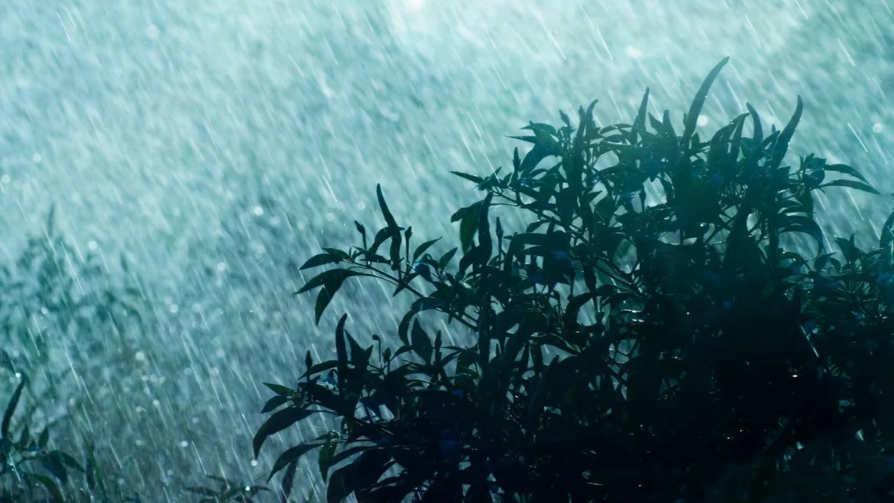 UP Monsoon Update: लखनऊ-पूर्वी यूपी में थमेगा तूफानी पानी, अब 13 जिलों में भारी बारिश का बड़ा अलर्ट