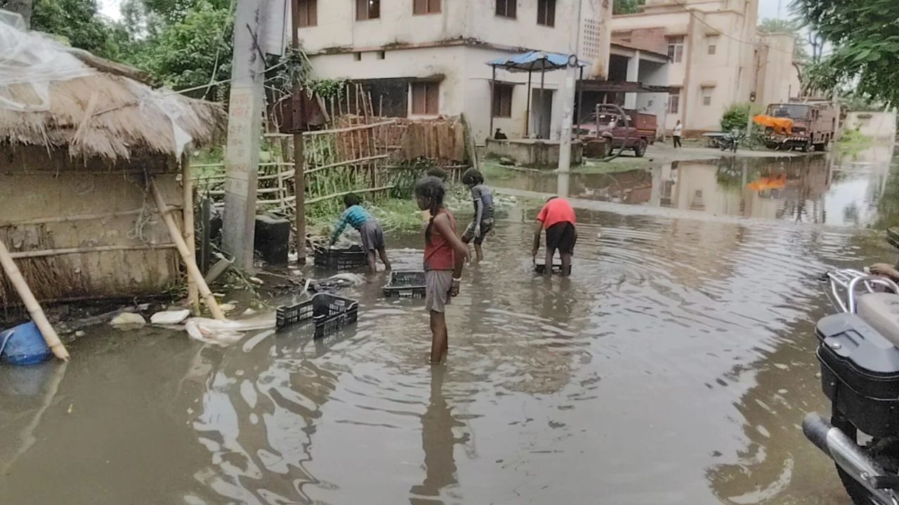 गंडक ने मचाई तबाही! बगहा में घरों में घुसा पांच फीट पानी, तीन दिन से नहीं जला चूल्हा