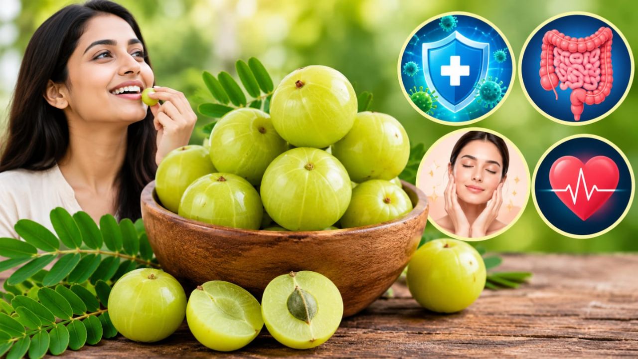 Amla Benefits: सेहत का खजाना है आंवला, रोजाना खाने से शरीर को मिल सकते हैं ये 4 जबरदस्त फायदे
