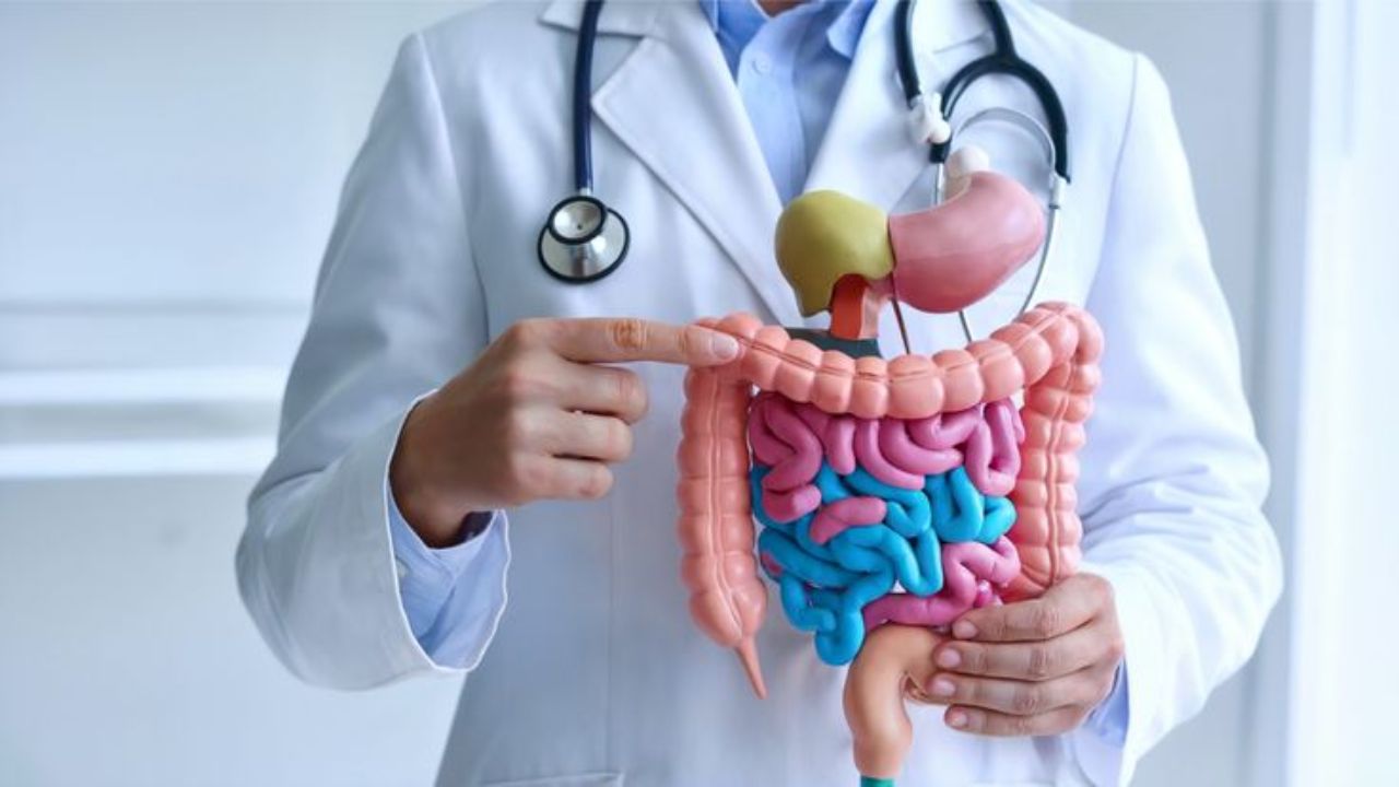 आंवले में फाइबर पाया जाता है, जो पाचन प्रक्रिया और मल त्याग को सामान्य बनाए रखने में मदद कर सकता है। पर्याप्त पानी और फाइबरयुक्त भोजन के साथ इसे खाने से कब्ज की समस्या कम करने में सहायता मिल सकती है। हालांकि, हर व्यक्ति का पाचन अलग होता है। अगर आंवला खाने से पेट में जलन, असहजता या अन्य परेशानी हो, तो इसकी मात्रा कम करें और जरूरत पड़ने पर डॉक्टर से सलाह लें। (Img- Pinterest)