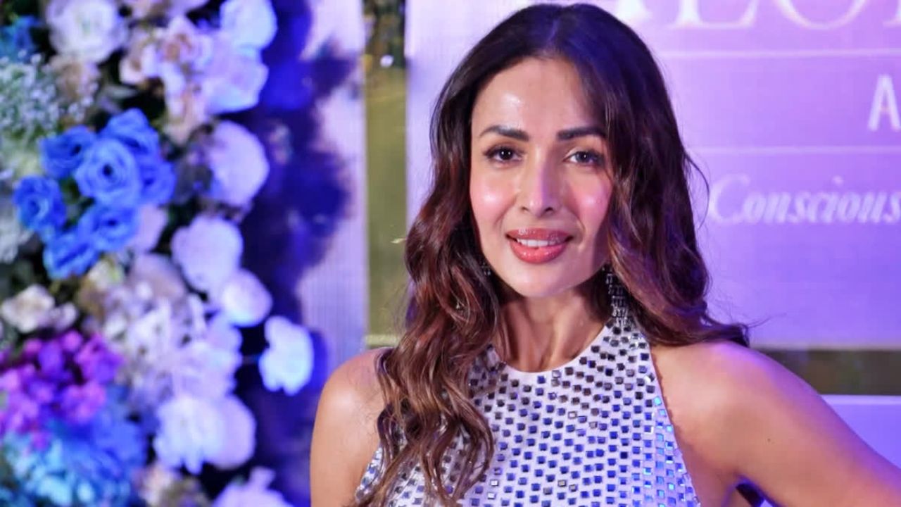 मलाइका ने अपने करियर की शुरुआत MTV इंडिया में बतौर वीडियो जॉकी यानी VJ की थी। 'लव लाइन' और 'स्टाइल चेक' जैसे शोज को होस्ट करते हुए वह युवाओं के बीच लोकप्रिय हुईं। उनकी बेबाक बातचीत, आकर्षक व्यक्तित्व और फैशन सेंस ने लोगों का ध्यान खींचा। इसके बाद उन्होंने मॉडलिंग और म्यूजिक वीडियो की दुनिया में भी अपनी पहचान बनानी शुरू की। (Img- Pinterest)