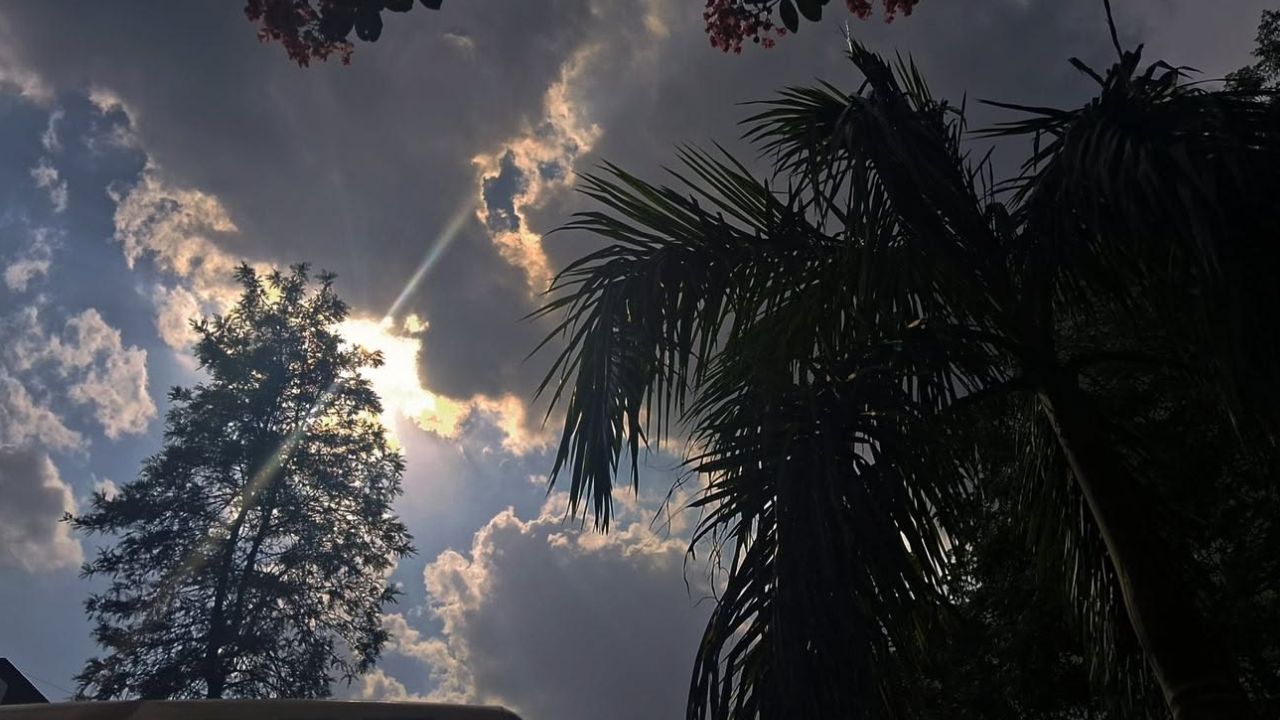 UP Weather Today: लखनऊ से नोएडा तक कैसा रहेगा मौसम? IMD ने दिया अपडेट, जानें कब बढ़ेगी ठंड