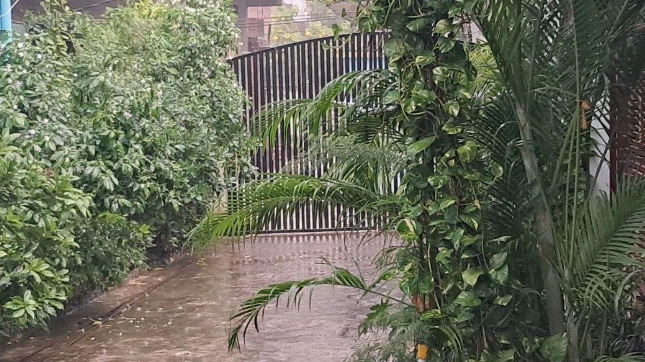 चेहरे पर राहत, पर खेतों में आफत: देवरिया में मौसम के अचानक यू-टर्न से अन्नदाताओं की क्यों उड़ी नींद?