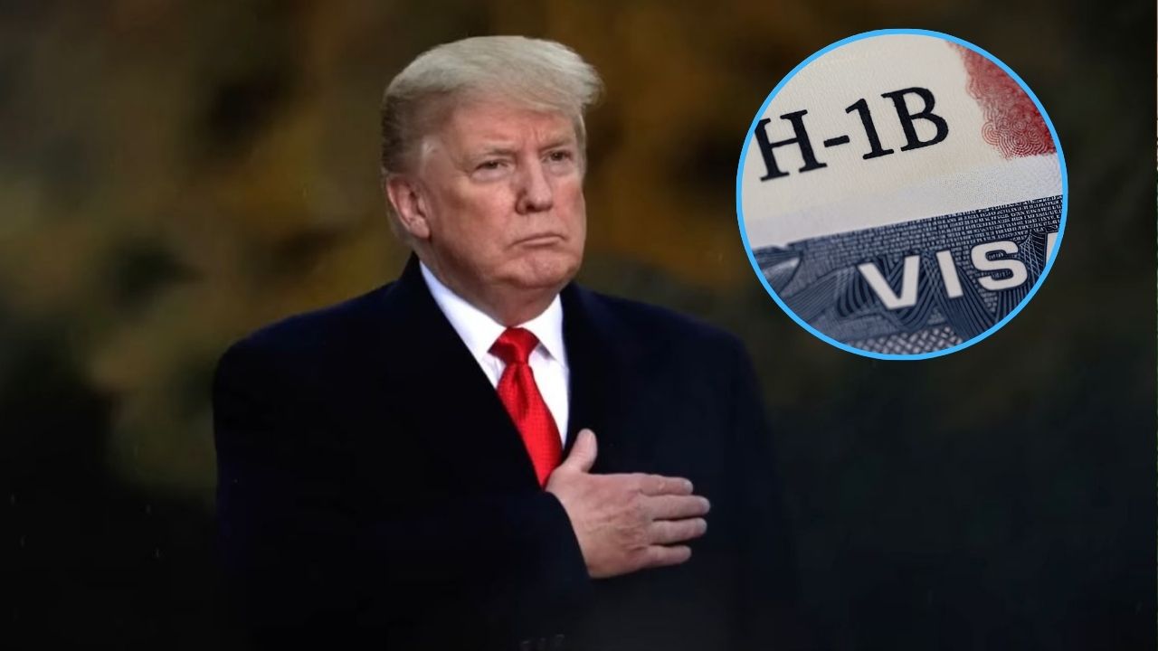 H-1B Visa: Infosys, TCS और Cognizant में अमेरिका की नौकरी के लिए आवेदन घटे, जानें क्या है वजह
