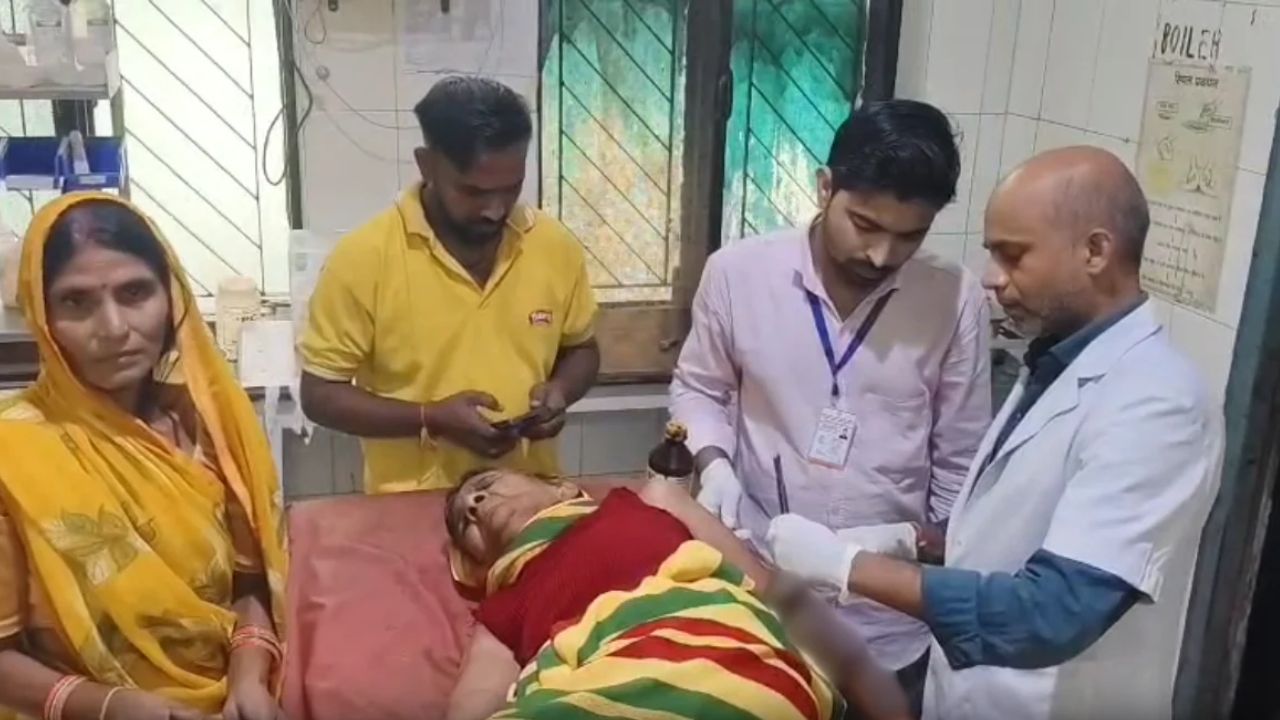 यूपी के हमीरपुर में बंदरों का भारी आतंक: सुभाष बाजार में एक के बाद एक चार लोगों पर हमला कर किया घायल