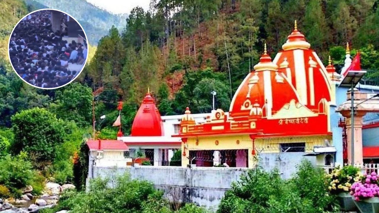 कैंची धाम में श्रद्धालुओं की भारी भीड़ से पक्षियों पर बड़ा संकट, नैनीताल की पहाड़ियों से गायब हो रहे परिंदे
