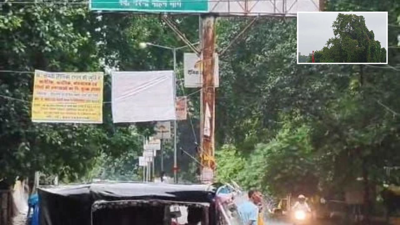 Kanpur News: दो दिन से लगातार बारिश, तेज हवाओं ने किसानों की उड़ाई नींद; फसलों को नुकसान की आशंका