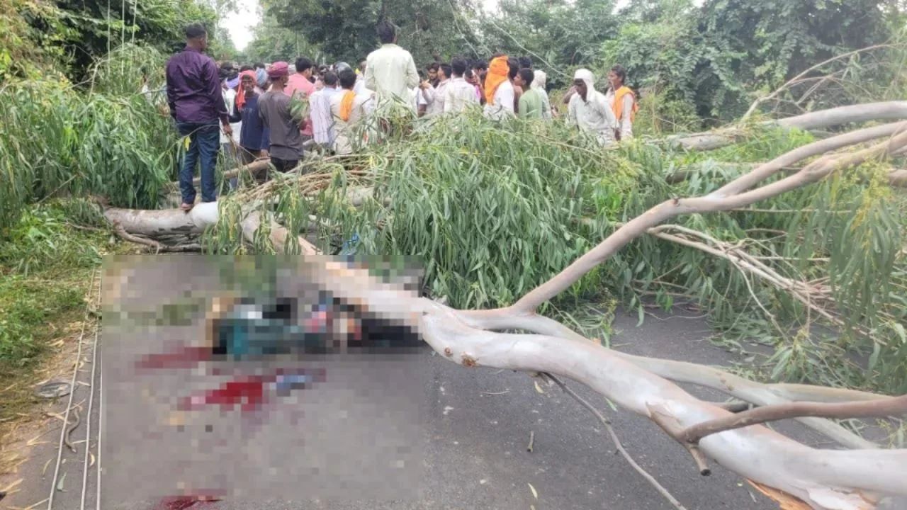 कासगंज में मौत बनकर गिरा यूकेलिप्टस का पेड़! 11 हजार वोल्ट की लाइन टूटी, बाइक सवार की मौके पर मौत
