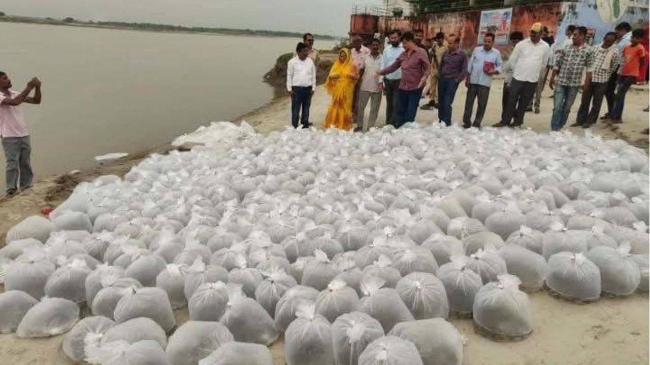 Pratapgarh: गंगा में छोड़े गए एक लाख मत्स्य बीज, जैव विविधता बढ़ने के साथ मछुआरों की आजीविका को मिलेगा सहारा