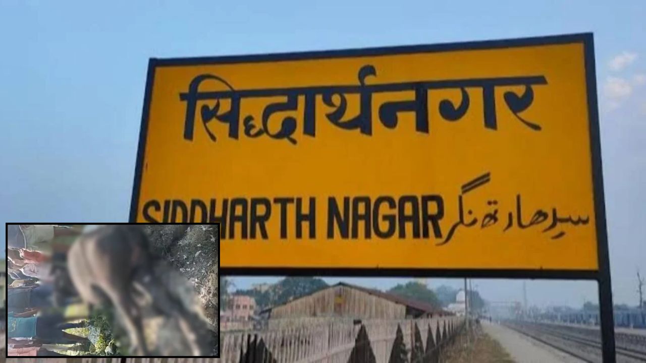 सिद्धार्थनगर में पटाखों पर पैर पड़ते ही जोरदार धमाका, मौके से बारूद बरामद