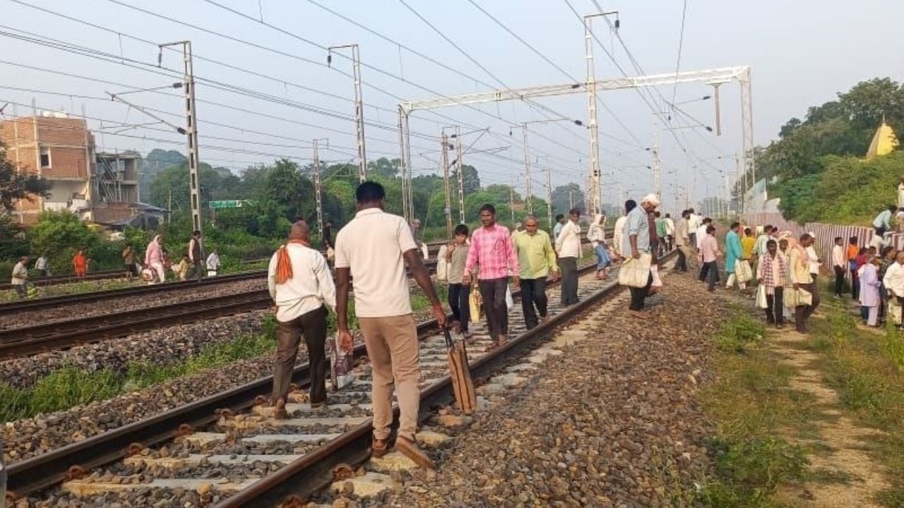 UP News 