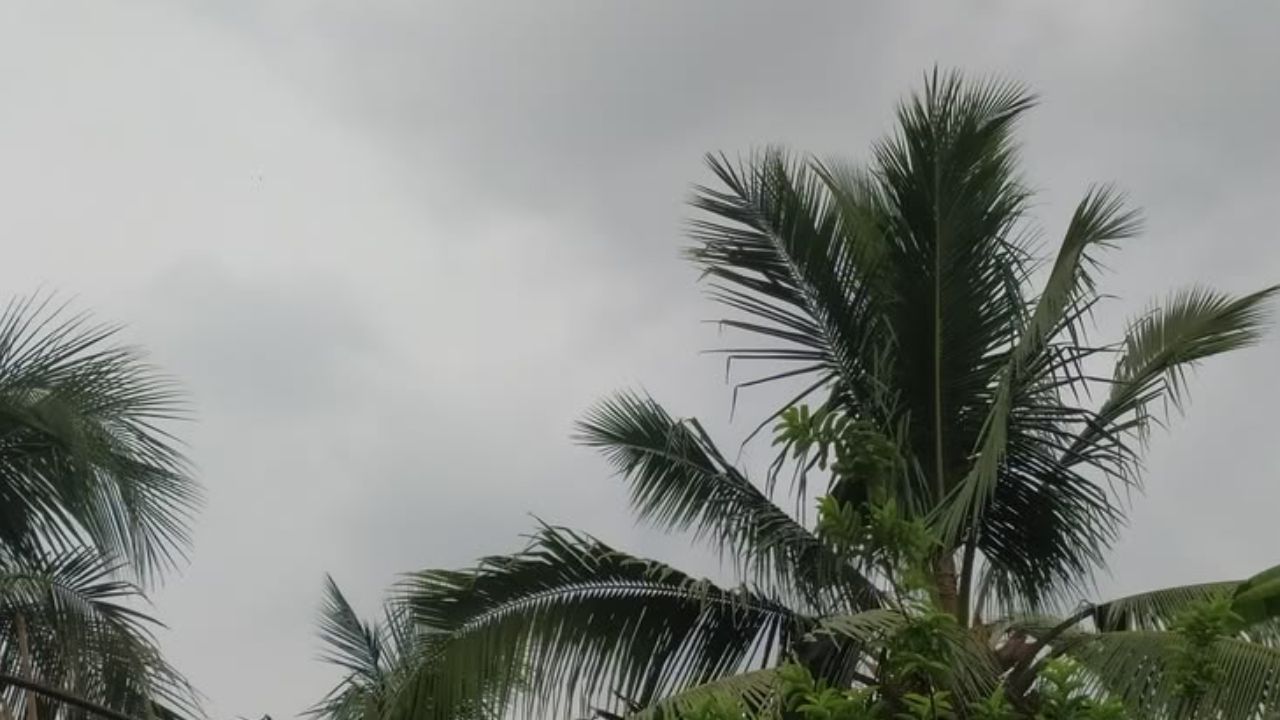 Weather Update: यूपी में फिर बदलेगा मौसम! 15 अक्टूबर से बारिश की वापसी, लखनऊ समेत इन इलाकों में दिखेगा असर