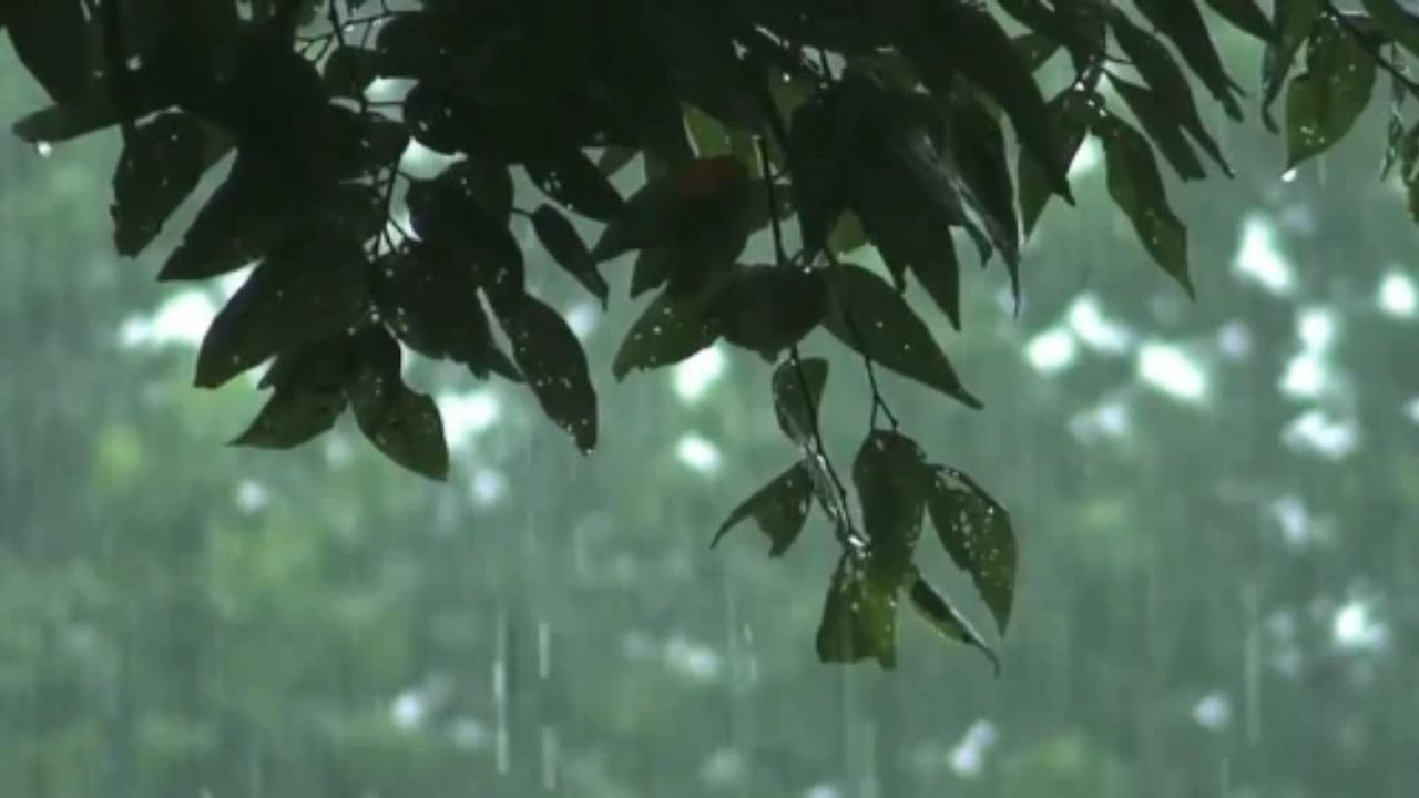 UP Weather: गर्मी के बीच मौसम विभाग का बड़ा अलर्ट, पूर्वी यूपी के जिलों में दो दिन होगी तेज बारिश