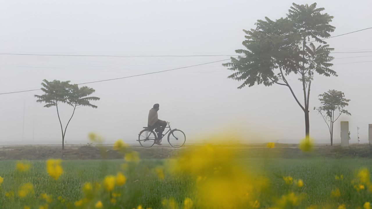 Weather Update: यूपी में सताने लगी सुबह-शाम की ठंड, पछुआ हवाओं के जोर पकड़ते ही धड़ाम हुआ पारा