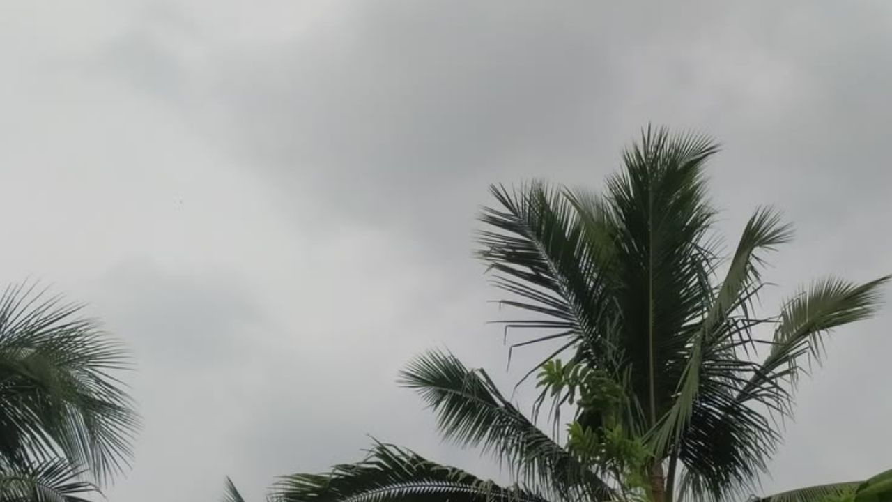 Weather Update: दिल्ली-NCR में गुलाबी ठंड की दस्तक, 15 राज्यों में बारिश का अलर्ट; जानें कहां बदलेगा मौसम