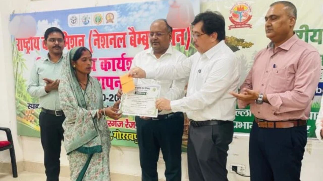 गोरखपुर में बांस की खेती से बढ़ेगी कमाई, विशेषज्ञों ने बताए कमाई के कई रास्ते