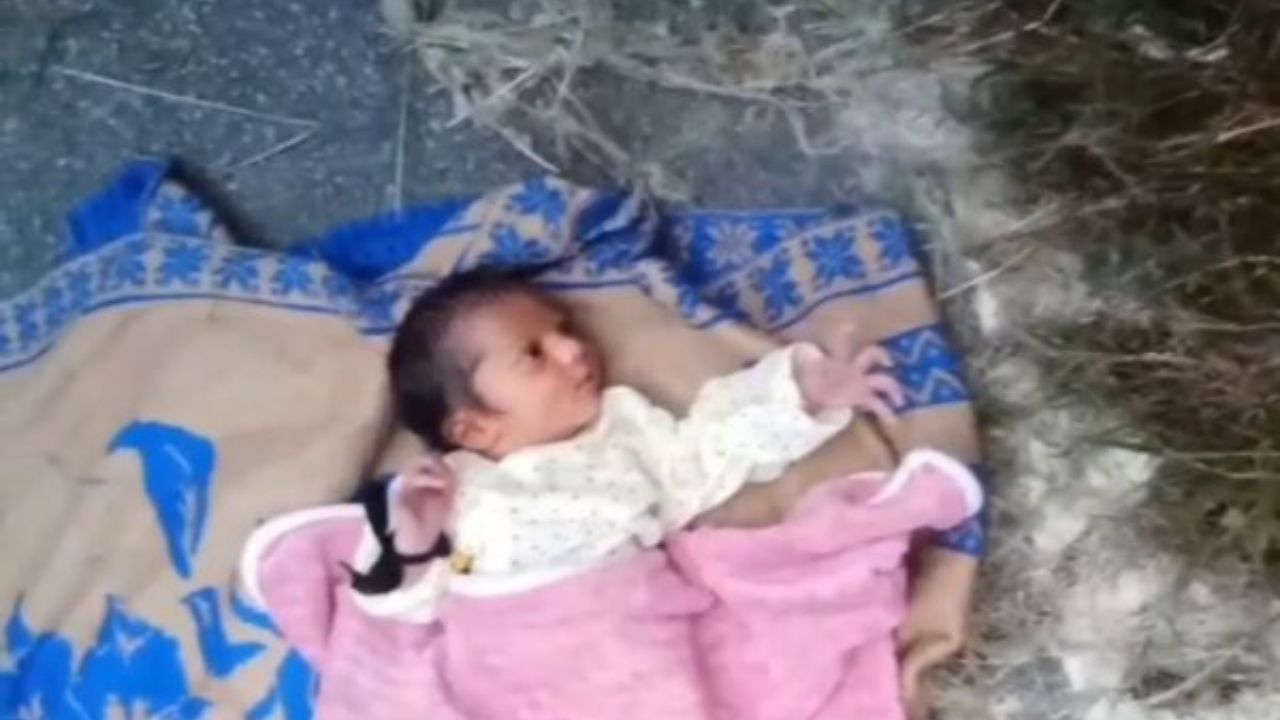 Gorakhpur: लिंक एक्सप्रेस-वे किनारे झाड़ियों में मिली नवजात बच्ची, ऐसे बची मासूम की जान