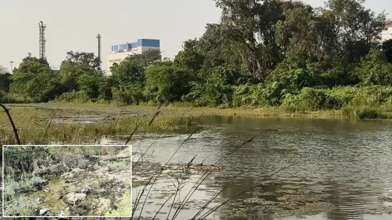 खेतों में पहुंच रहा दूषित पानी? हिंदुस्तान यूनिलीवर फैक्ट्री के खिलाफ किसानों का फूटा गुस्सा, सैकड़ों बीघा जमीन हो रही बंजर