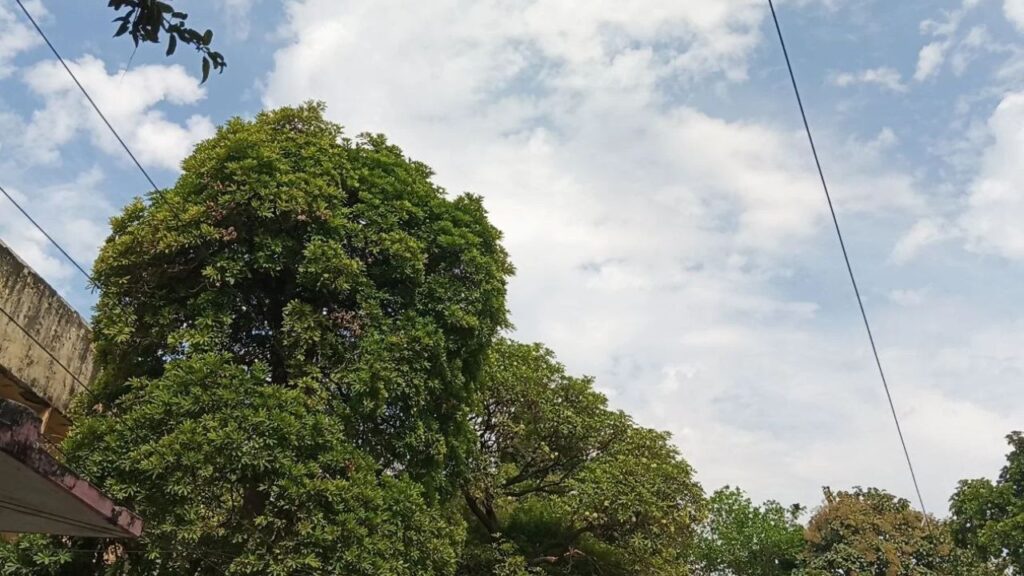 अर्नब तूफान शव सोर्स डाइनामाइट न्यूज