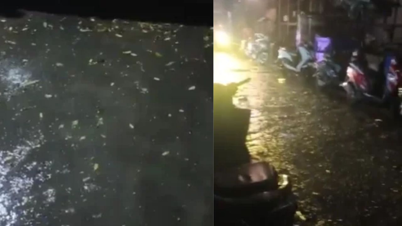 Weather Update: दिल्ली-NCR में रात को बदला मौसम का मिजाज, झमाझम बरसे बदरा 