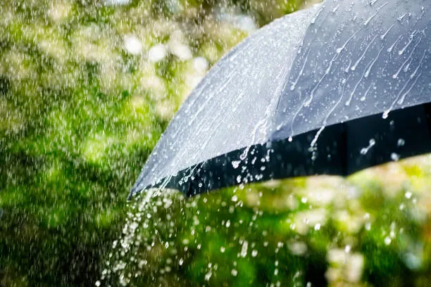 বৃষ্টির গন্ধে ফেরে পুরোনো স্মৃতি, বিজ্ঞান যা বলছে