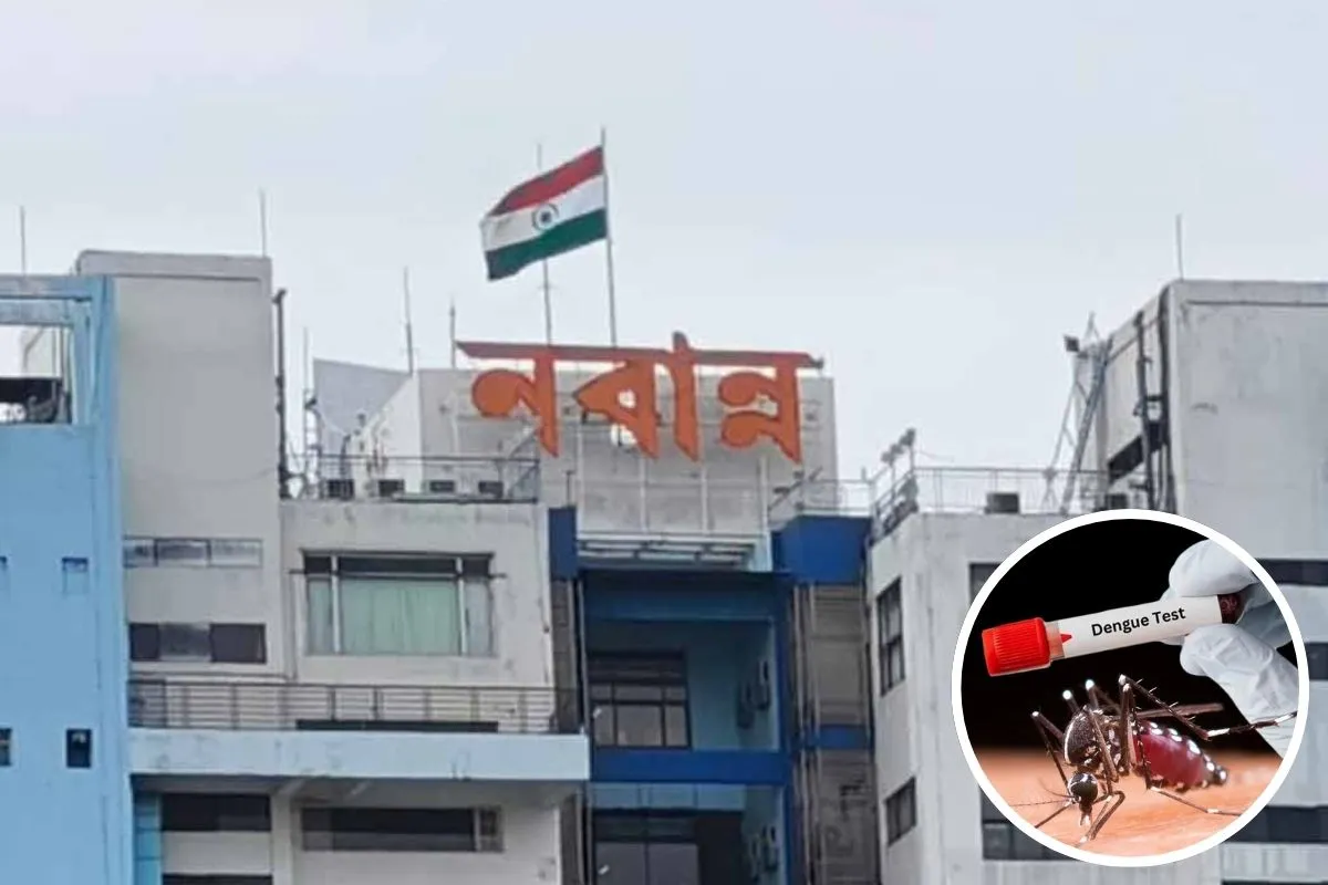 ডেঙ্গি আক্রান্ত ৭,৩২০, পুজোর আগে হাই-রিস্ক সতর্কতা নবান্নের
