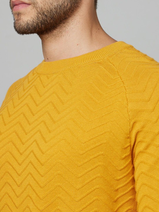 Self Design Round Neck Cotton Pullover Sweaters