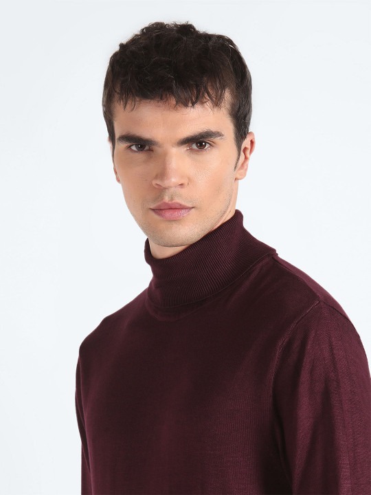 Turtle Neck Pullover