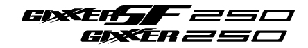 10799_S_Gixxer_250_White_Web_Adapts_444x70_6961064571998.jpg