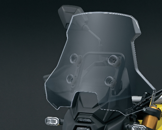 Suzuki_DL_800_web_banners_High_Screen520x420pix_6604288ed9372.jpg