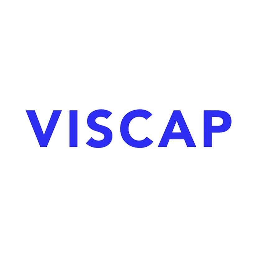 VISCAP Consultancy Services Pvt. Ltd.