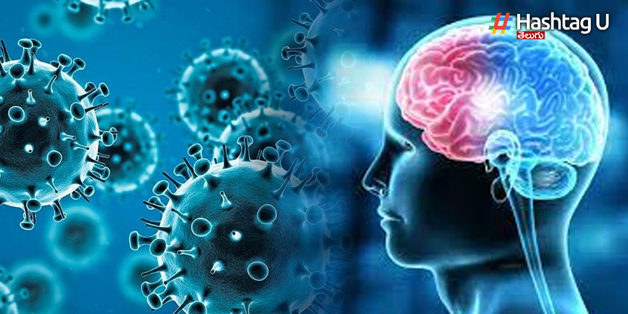 Brain Damage