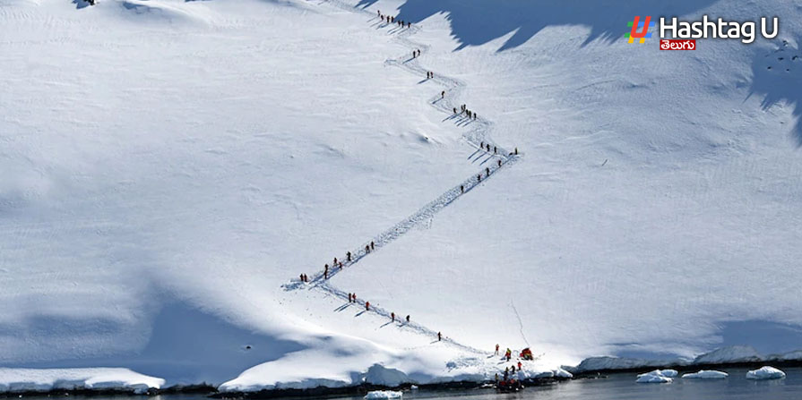 Antarctica