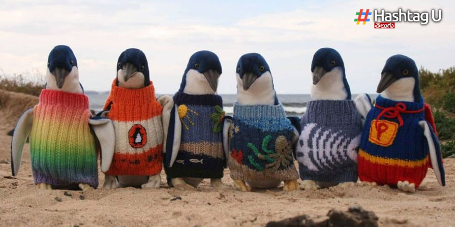 Penguine
