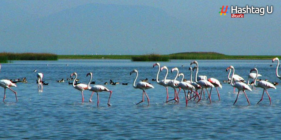 Chilaka Lake