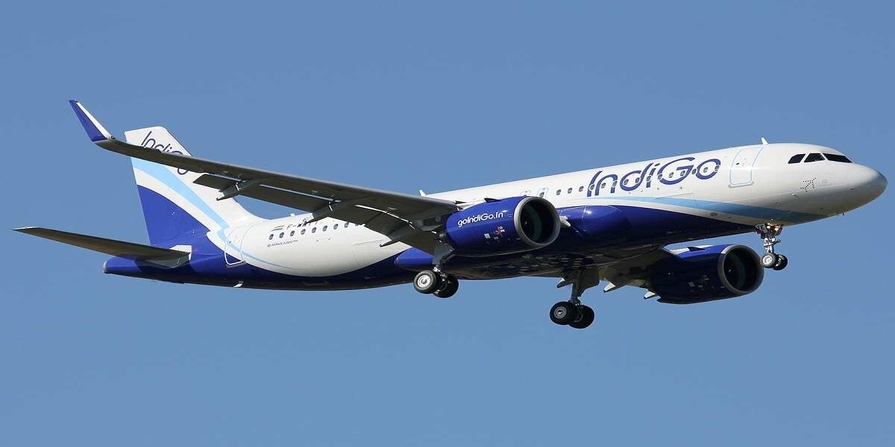 indigo plane
