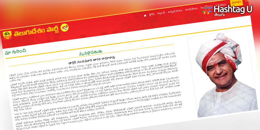 Tdp Websitemain