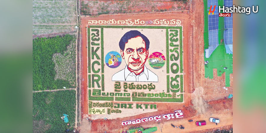Kcr Pic