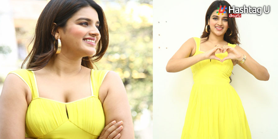 Nidhi 2