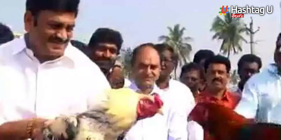 Rrr Cockfight