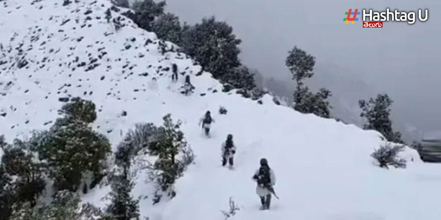 Snow