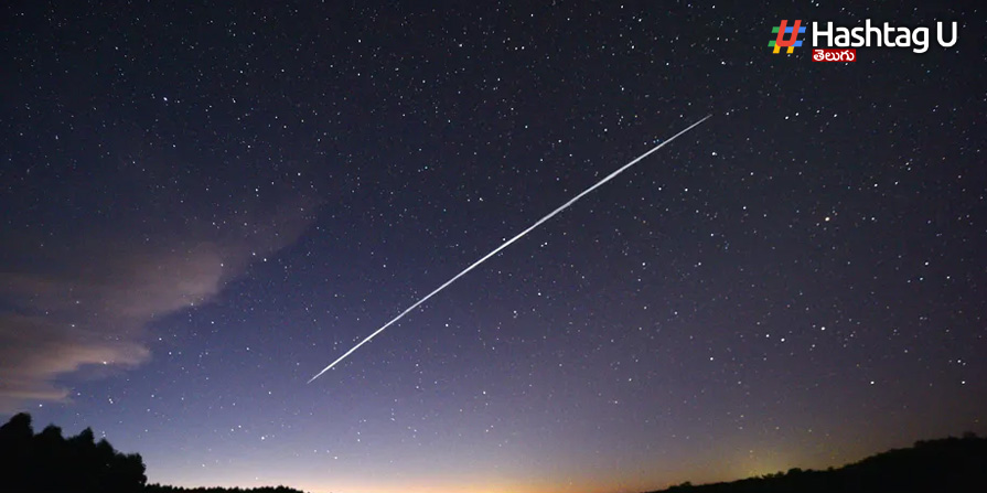 Space X