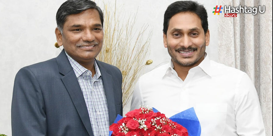 Ap Dgp